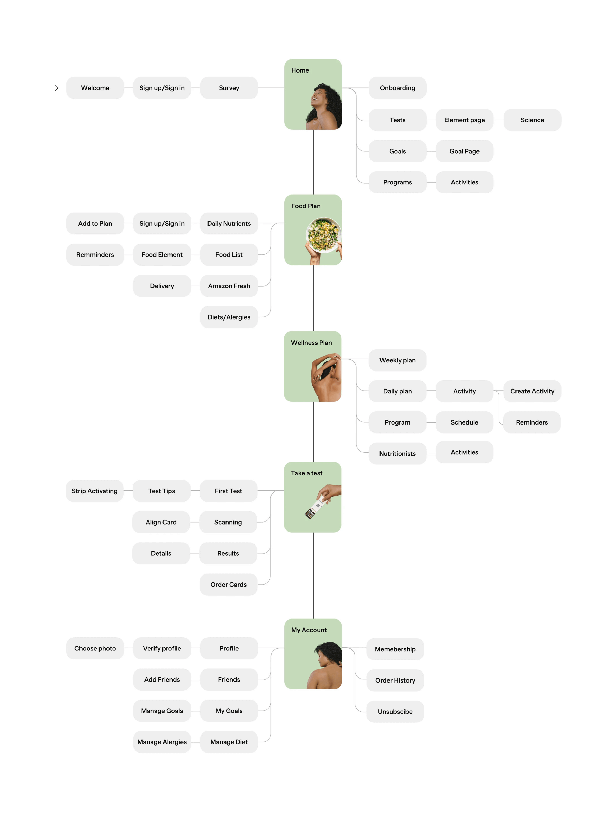 Vessel user-flow map — five hubs (Home, Food Plan, Wellness Plan, Take a Test, My Account) with every screen branching off each